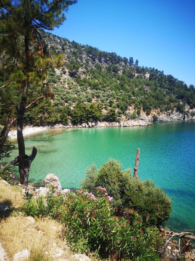Bel Air Villa Skala Potamia  Luaran gambar